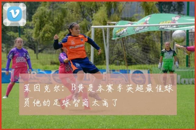莱因克尔：B费是本赛季英超最佳球员他的足球智商太高了