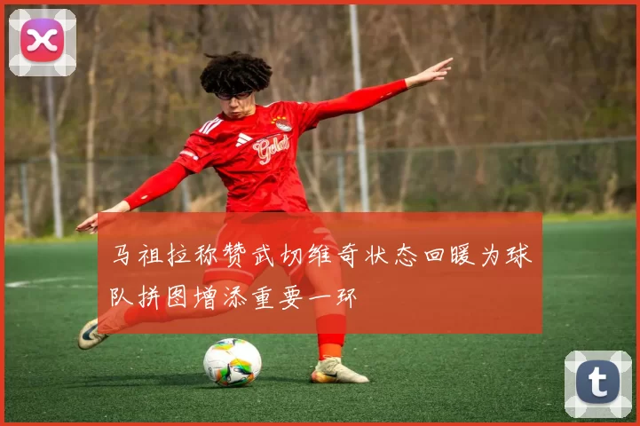 马祖拉称赞武切维奇状态回暖为球队拼图增添重要一环